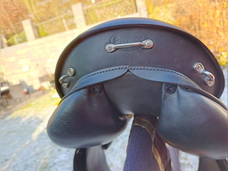 Prestige Vielseitigkeitssattel, Explorer, sehr bequem