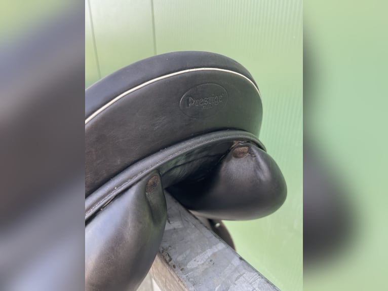 Prestige Vielseitigkeitssattel schwarz