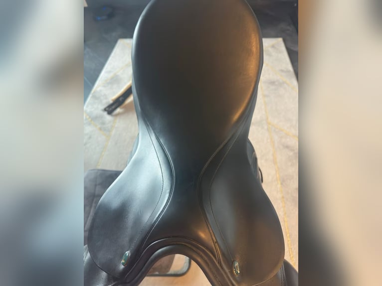 Prestige VS Sattel 18 Zoll Venezia Vielseitigkeitssattel