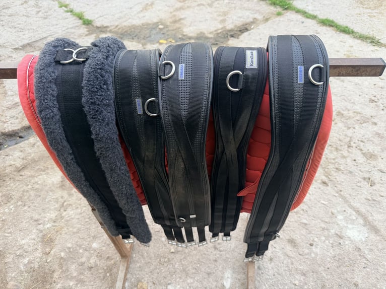 Sattel Capreole Tandia VS DL schwarz