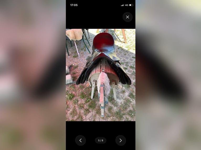Sattel für Kaltblut