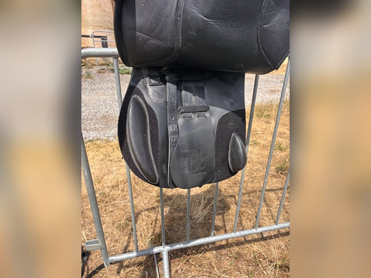 Sattel Vielseitigkeit