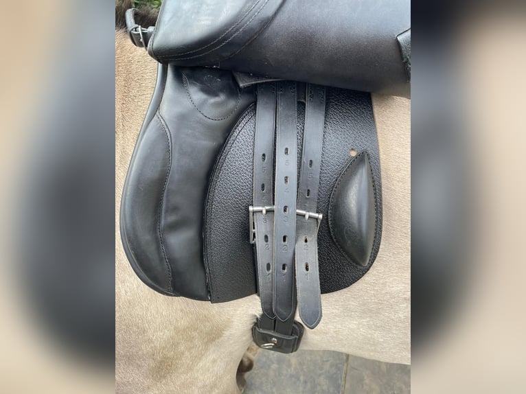 Sattel - VS Sattel 16,5“ von Santa Cruz 