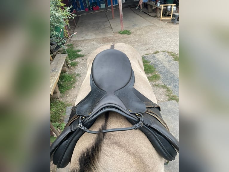 Sattel - VS Sattel 16,5“ von Santa Cruz 