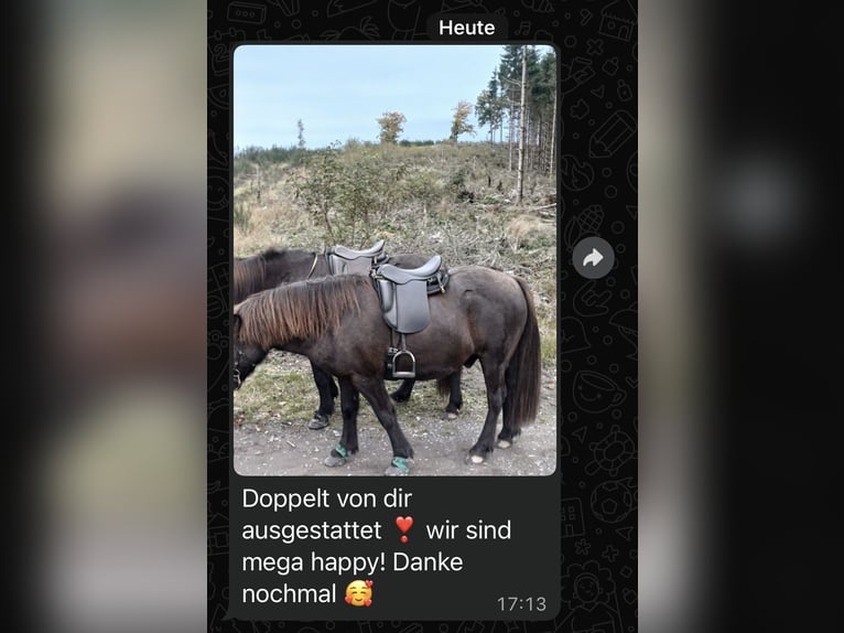 Schluss mit Rutschen! Sattel-Set für Isländer Haflinger Tinker Welsh COB und kurze breite Ponys