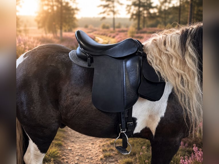 Schluss mit Rutschen! Sattel-Set für Isländer Haflinger Tinker Welsh COB und kurze breite Ponys
