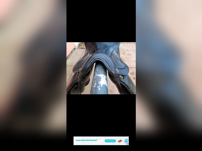 Sommer diplomat exklusiv vss Sattel 17,5 zoll