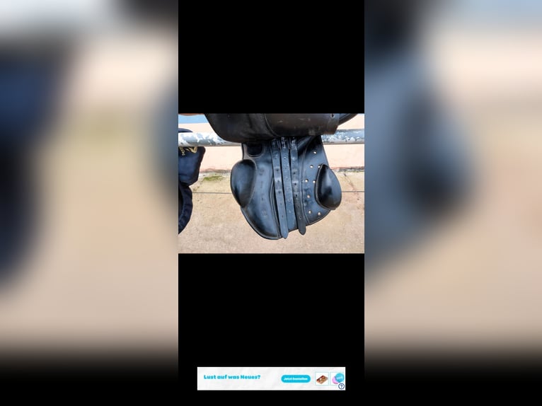 Sommer diplomat exklusiv vss Sattel 17,5 zoll