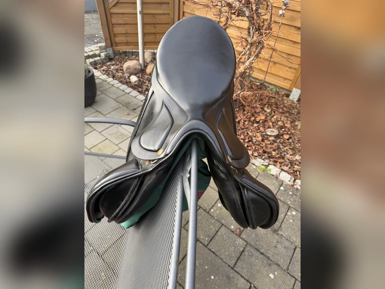 Sommer Diplomat VS/Springsattel 17,5“ Zoll 31 KW 