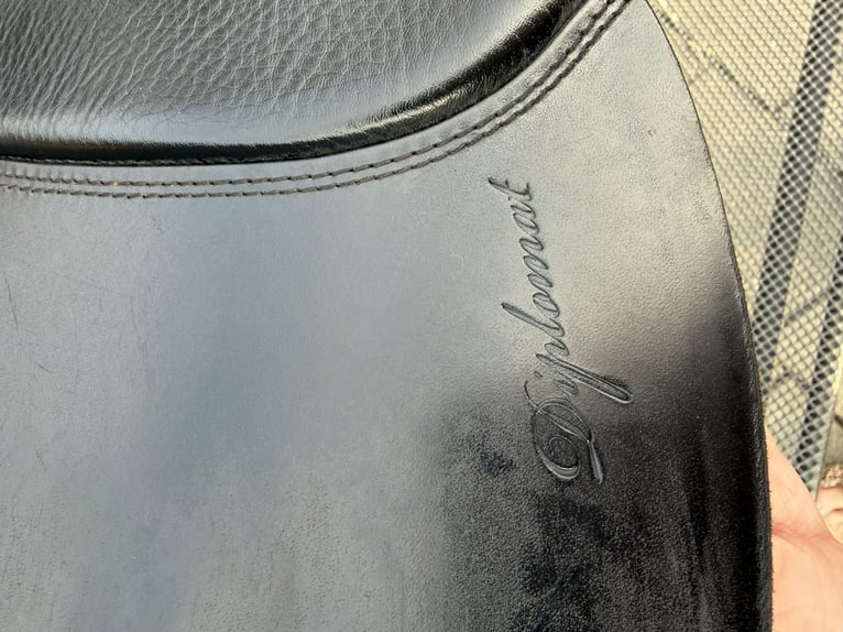 Sommer Diplomat VS/Springsattel 17,5“ Zoll 31 KW 