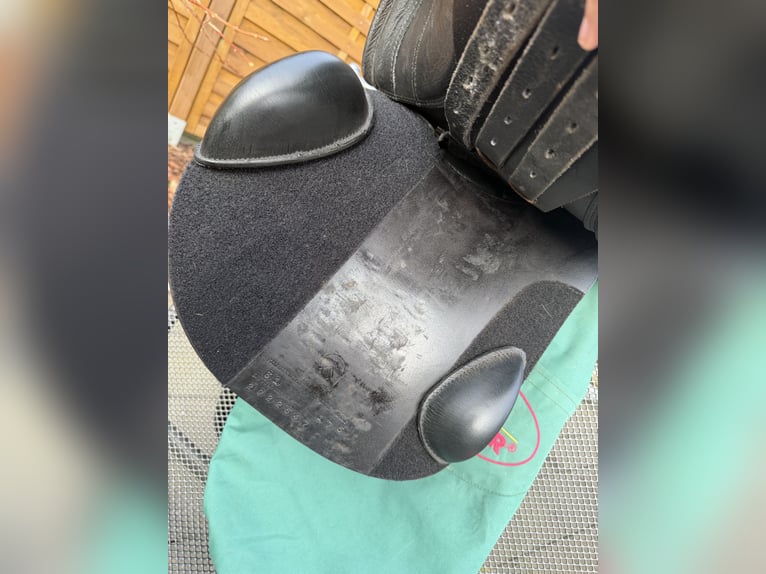 Sommer Diplomat VS/Springsattel 17,5“ Zoll 31 KW 