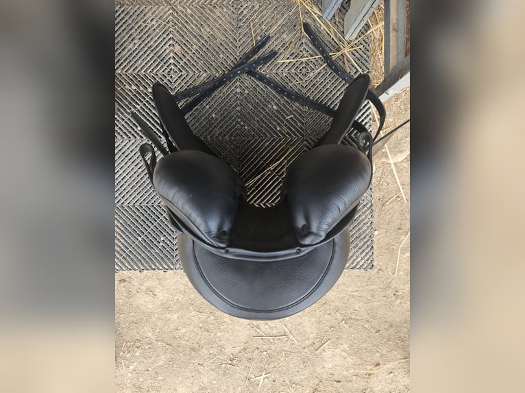 SOMMER Remos X-Cross Dressage Sattel zu verkaufen