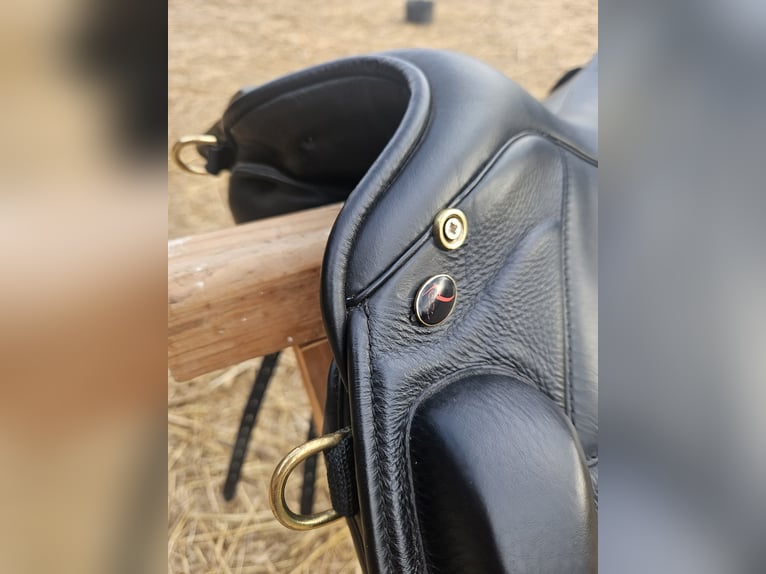 SOMMER Remos X-Cross Dressage Sattel zu verkaufen