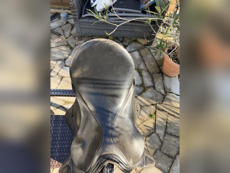 Sommer Vielseitigkeitssattel 17,5 Zoll - Schwarz - guter Zustand