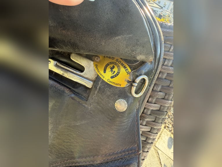 Sommer Vielseitigkeitssattel 17,5 Zoll - Schwarz - guter Zustand