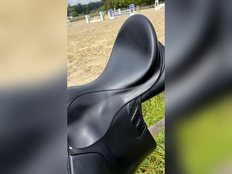 Sommer Vielseitigkeitssattel Passion 17,5 31,5