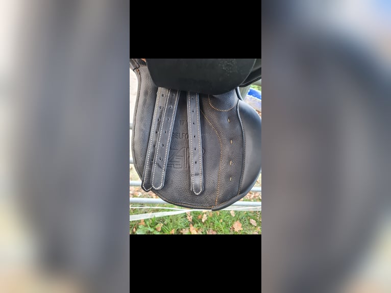 Springsattel Vielseitigkeitssattel 17zoll neu springpferd