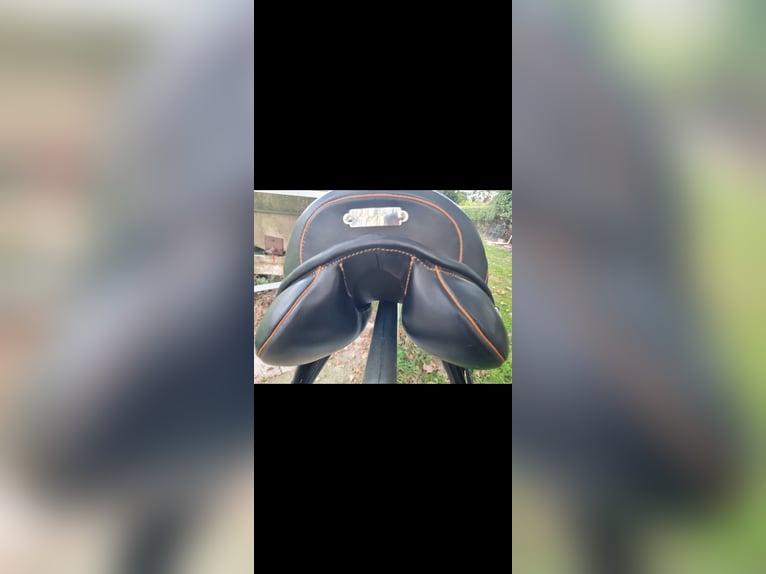 Springsattel Vielseitigkeitssattel 17zoll neu springpferd
