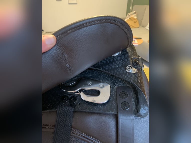 STÜBBEN REV ebony, mit/ohne Trekking-Blätter