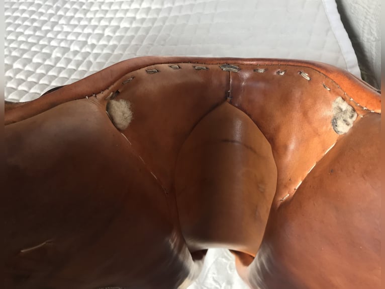 Stübben VS Sattel Lohengrin, 18 Zoll, hellbraun, schick