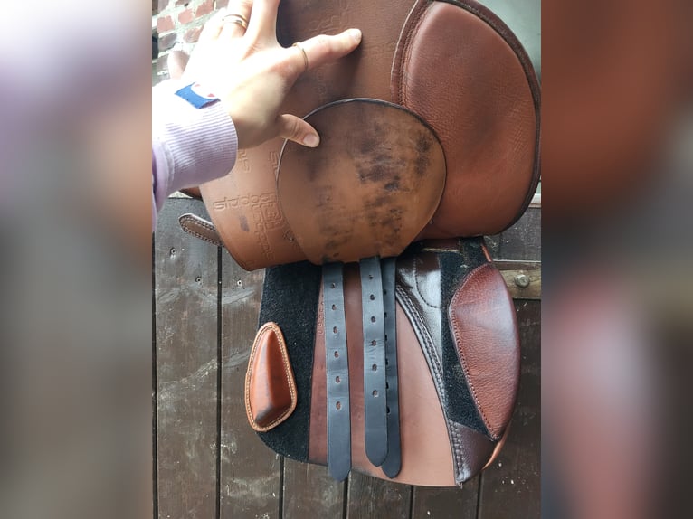 Stübben VVS Sattel Roxane mit Steigbügelriemen & Leder-Sattelgurt 