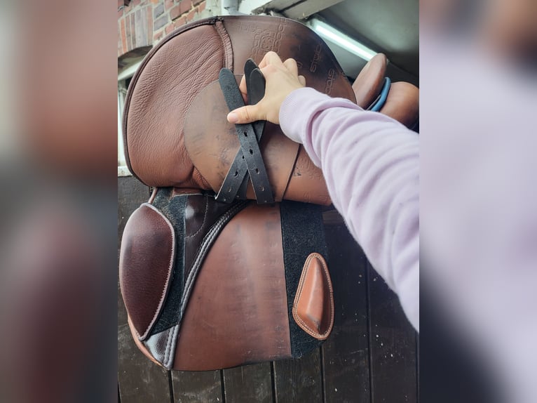 Stübben VVS Sattel Roxane mit Steigbügelriemen & Leder-Sattelgurt 