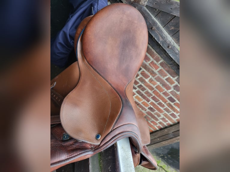 Stübben VVS Sattel Roxane mit Steigbügelriemen & Leder-Sattelgurt 