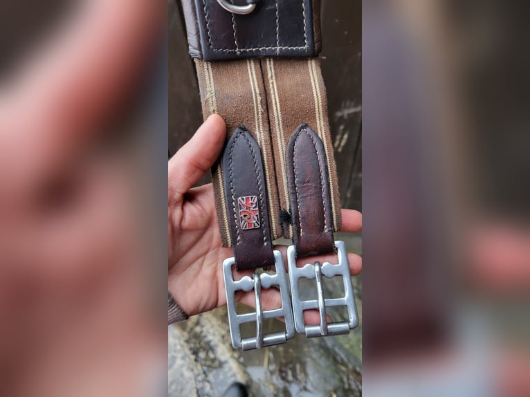 Stübben VVS Sattel Roxane mit Steigbügelriemen & Leder-Sattelgurt 