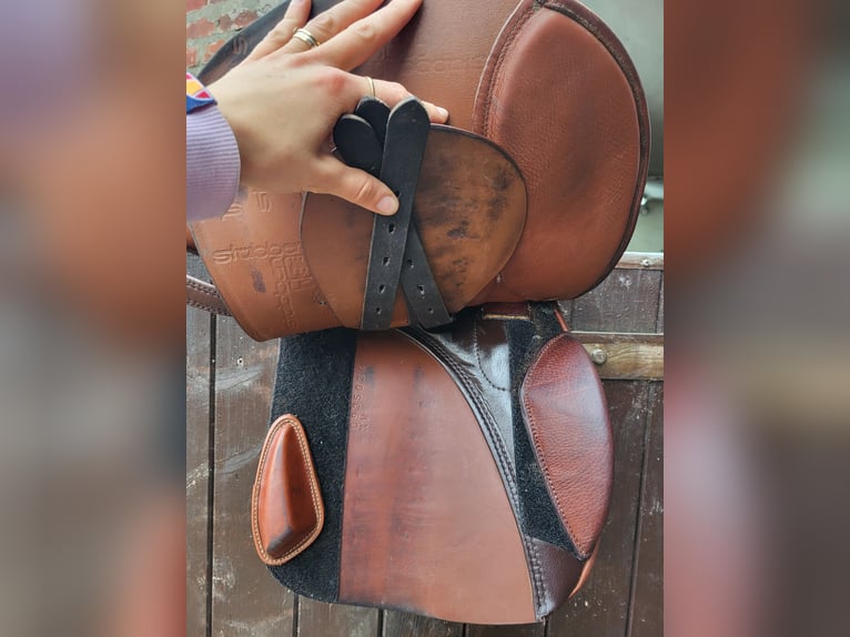 Stübben VVS Sattel Roxane mit Steigbügelriemen & Leder-Sattelgurt 