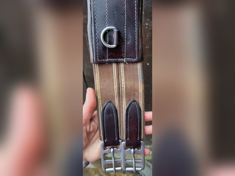 Stübben VVS Sattel Roxane mit Steigbügelriemen & Leder-Sattelgurt 