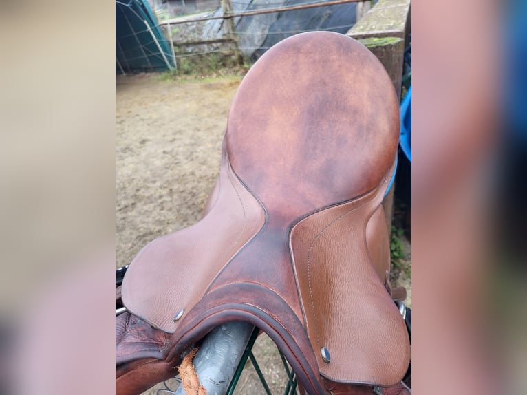 Stübben VVS Sattel Roxane mit Steigbügelriemen & Leder-Sattelgurt 