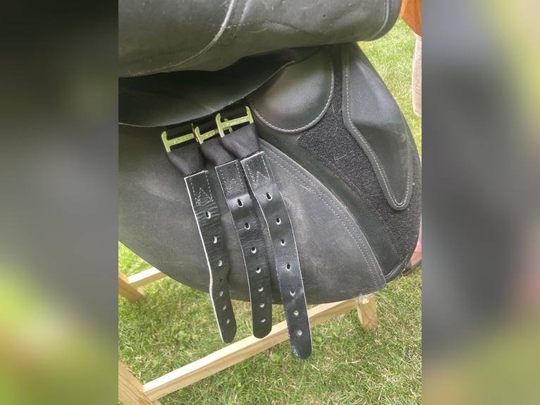 Tekna Maximus 18 Zoll, XXW Kopfeisen, schwarz
