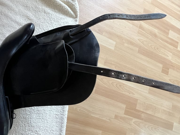 Topreiter Start Sattel