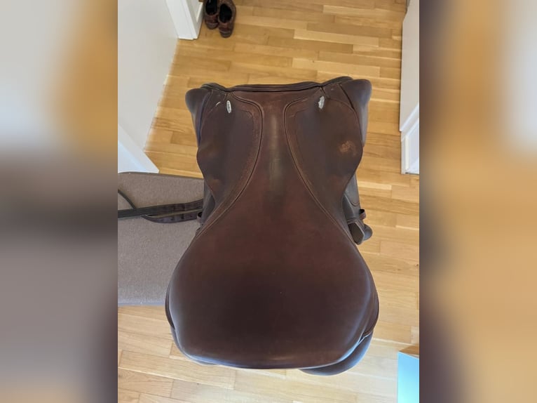 Vielseiteigkeitssattel - Santa Cruz Curtis 18 Zoll