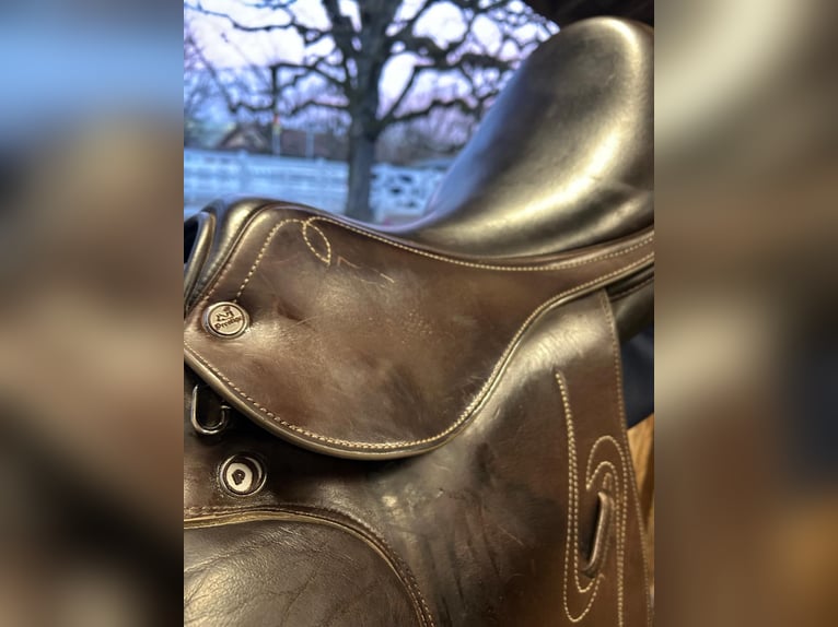 Vielseitigkeits-Sattel Prestige Venus VS