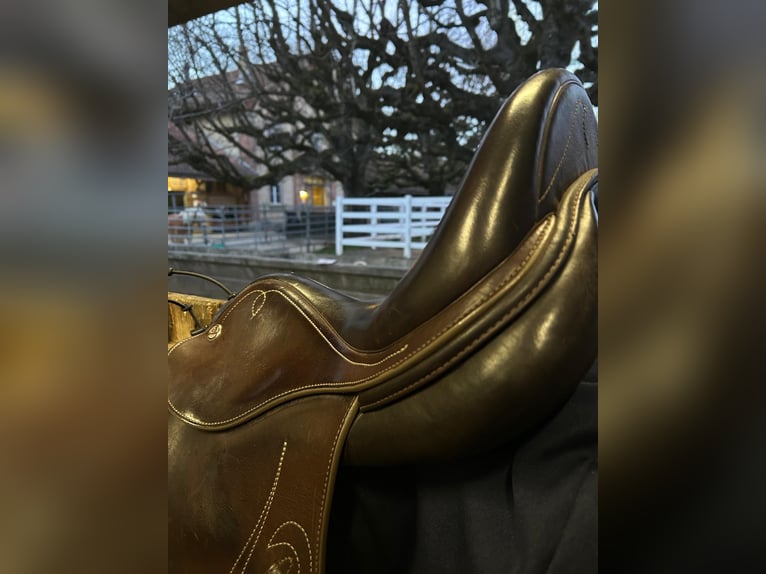 Vielseitigkeits-Sattel Prestige Venus VS