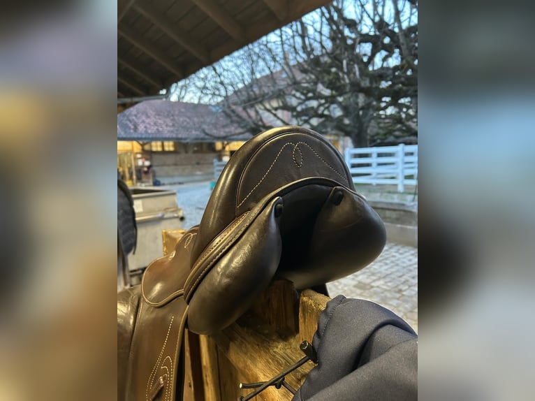 Vielseitigkeits-Sattel Prestige Venus VS