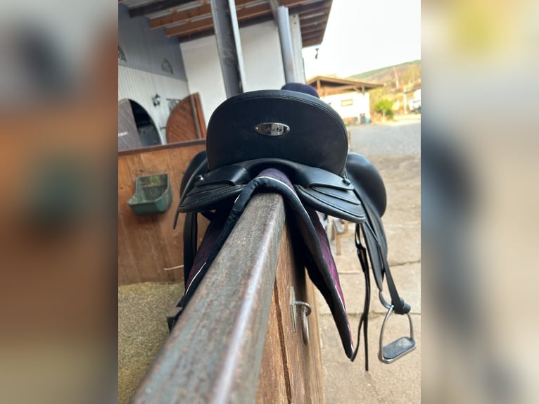 Vielseitigkeits Sattel, Schwerpunkt Dressur