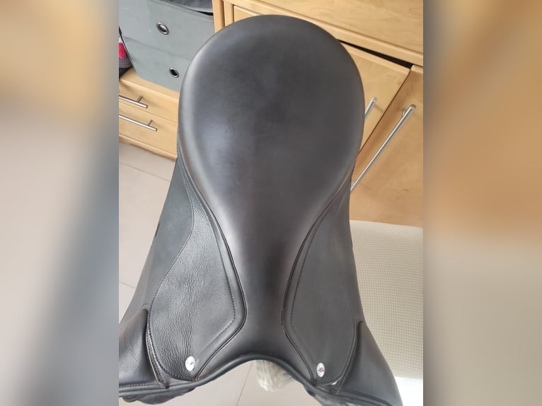 Vielseitigkeitsattel 