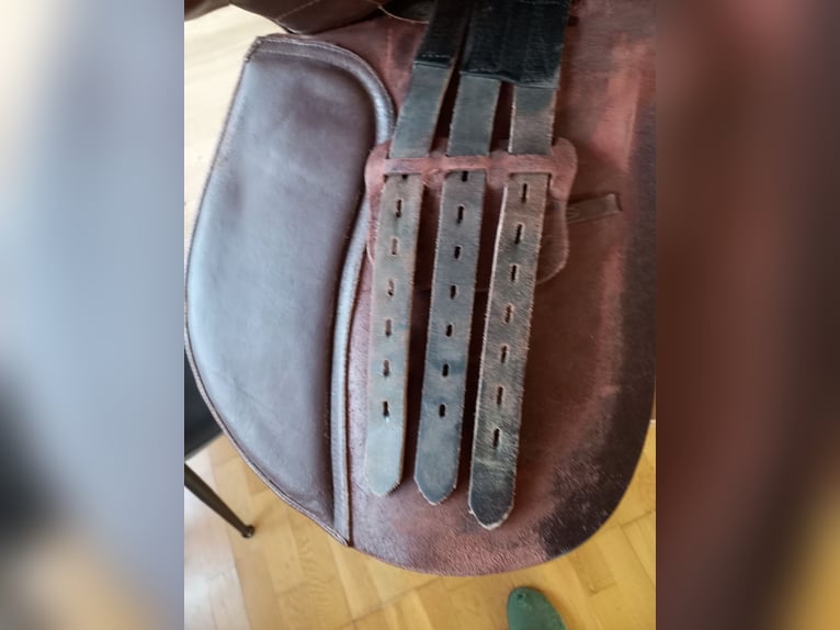 Vielseitigkeitssattel 16 Zoll