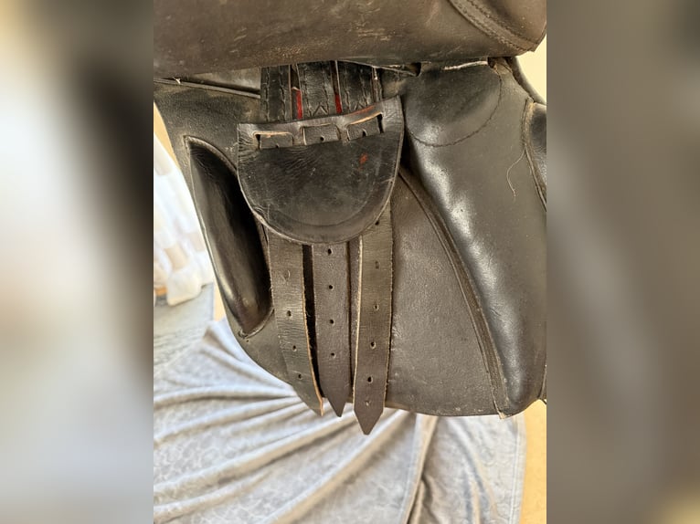 Vielseitigkeitssattel 16 Zoll Ledet gebraucht