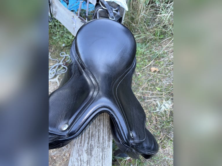 Vielseitigkeitssattel 17,5” – Schwerpunkt Springen/ Tausch möglich