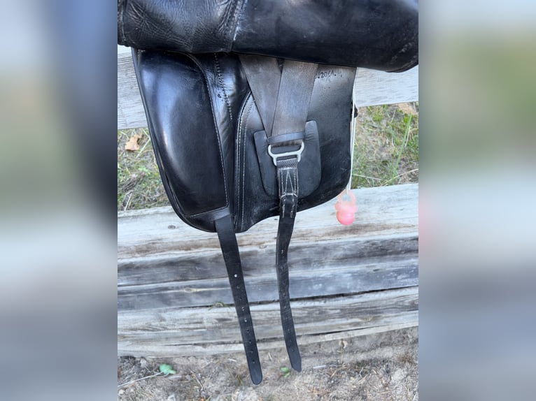 Vielseitigkeitssattel 17,5” – Schwerpunkt Springen/ Tausch möglich