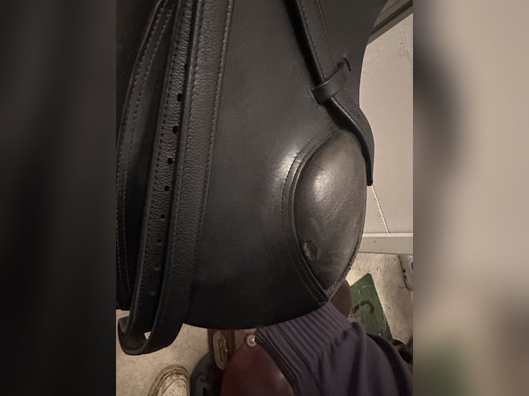 Vielseitigkeitssattel 17,5 Zoll