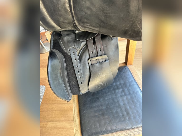 Vielseitigkeitssattel Bagual