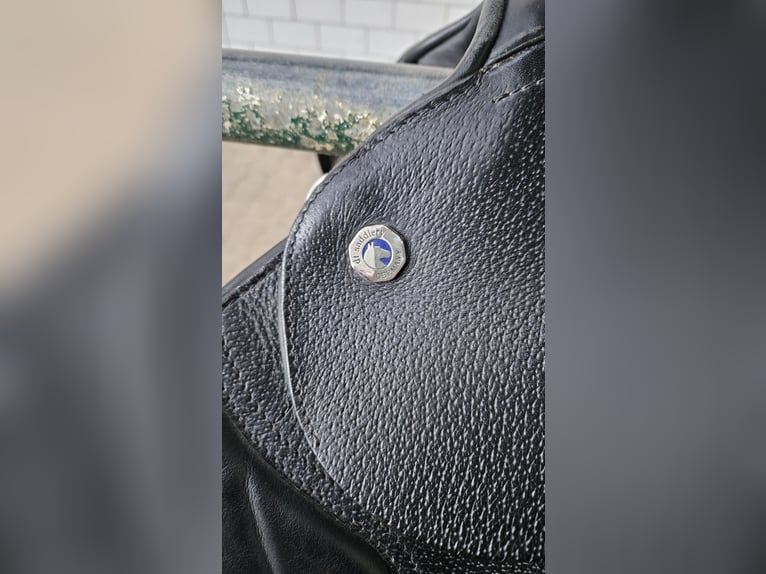 Vielseitigkeitssattel Butterfly "Sophie" in schwarz, Top-Zustand