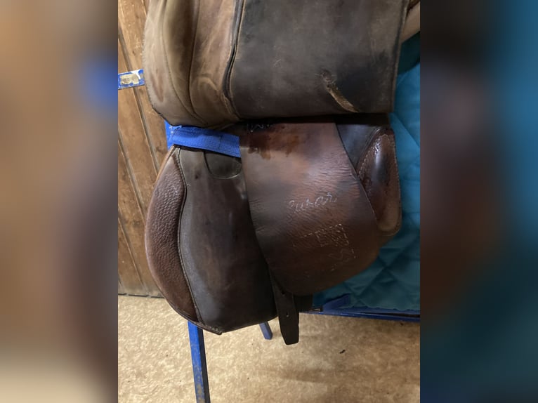 Vielseitigkeitssattel - Felsbach Husar