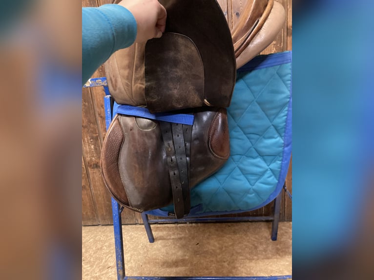 Vielseitigkeitssattel - Felsbach Husar