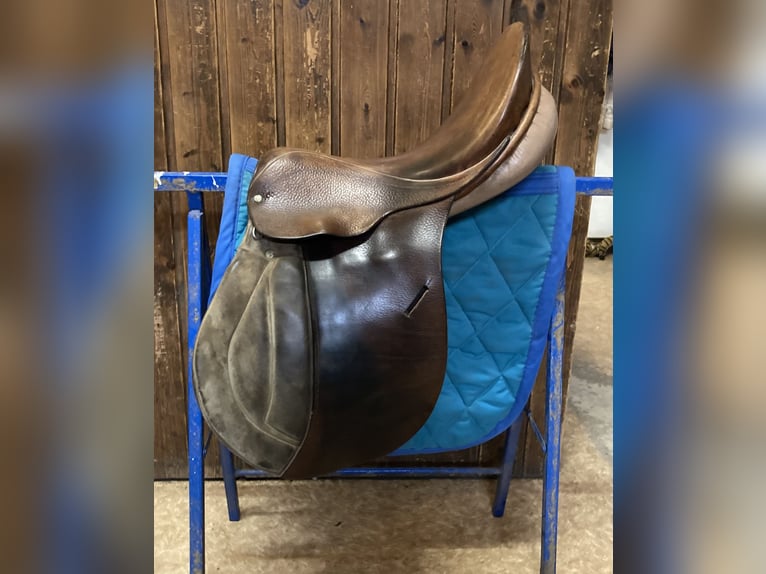 Vielseitigkeitssattel - Felsbach Husar