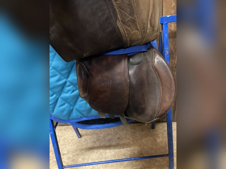 Vielseitigkeitssattel - Felsbach Husar